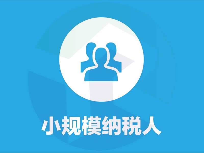 了解公司注册的全流程,是创业者在踏上创业之路前必不可少的一课。从准备阶段到最终完成,每个步骤都至关重要。